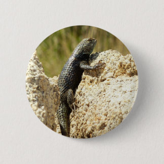Yellow-Backed Spiny Lizard at Joshua Tree Button