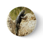 Yellow-Backed Spiny Lizard at Joshua Tree Button