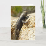 Yellow-Backed Spiny Lizard at Joshua Tree Card