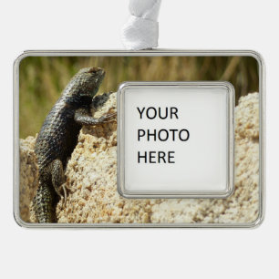 Yellow-Backed Spiny Lizard at Joshua Tree Christmas Ornament