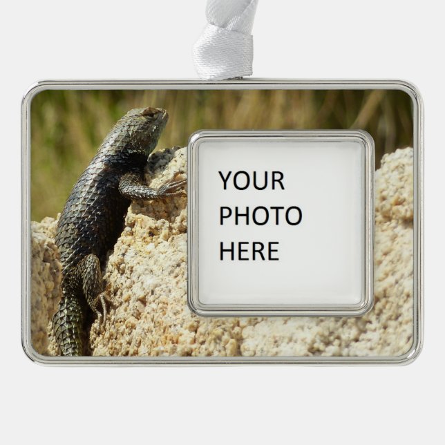 Yellow-Backed Spiny Lizard at Joshua Tree Christmas Ornament (Front)