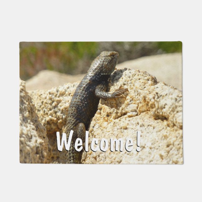 Yellow-Backed Spiny Lizard at Joshua Tree Doormat (Front)