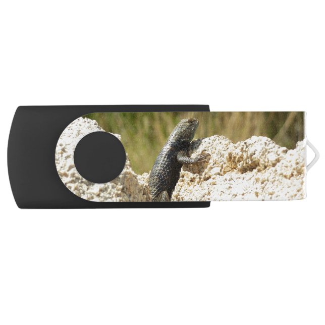 Yellow-Backed Spiny Lizard at Joshua Tree Flash Drive (Front)