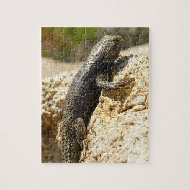 Yellow-Backed Spiny Lizard at Joshua Tree Jigsaw Puzzle (Vertical)