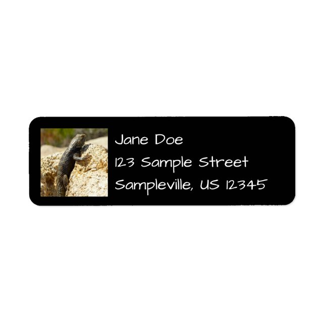 Yellow-Backed Spiny Lizard at Joshua Tree Label (Front)