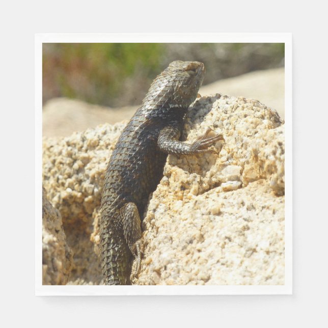 Yellow-Backed Spiny Lizard at Joshua Tree Napkins (Front)