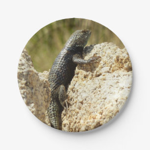 Yellow-Backed Spiny Lizard at Joshua Tree Paper Plates