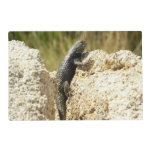 Yellow-Backed Spiny Lizard at Joshua Tree Placemat