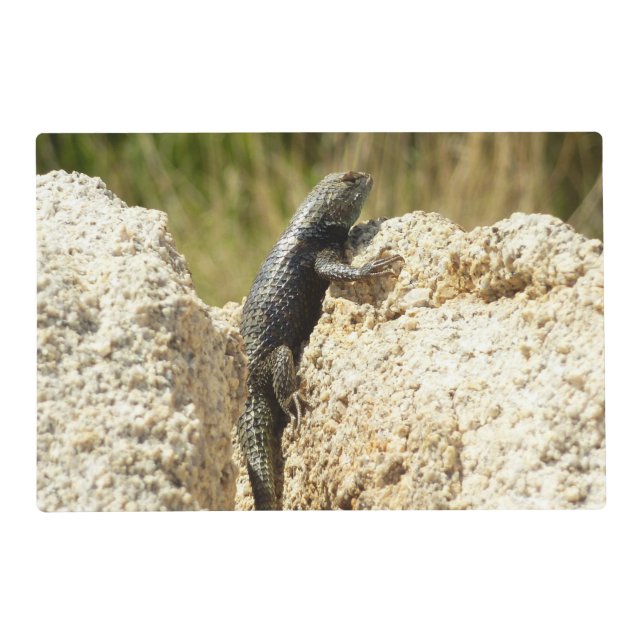 Yellow-Backed Spiny Lizard at Joshua Tree Placemat (Front)