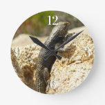 Yellow-Backed Spiny Lizard at Joshua Tree Round Clock