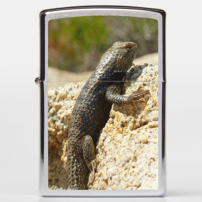 Yellow-Backed Spiny Lizard at Joshua Tree Zippo Lighter (Front)