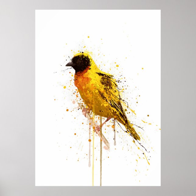 Yellow-Backed Weaver Bird Poster (Front)