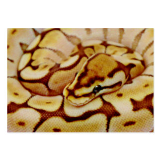 Ball Python Business Cards & Templates | Zazzle