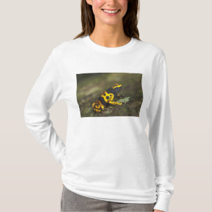 Yellow-banded Poison Dart Frog Dendrobates T-Shirt
