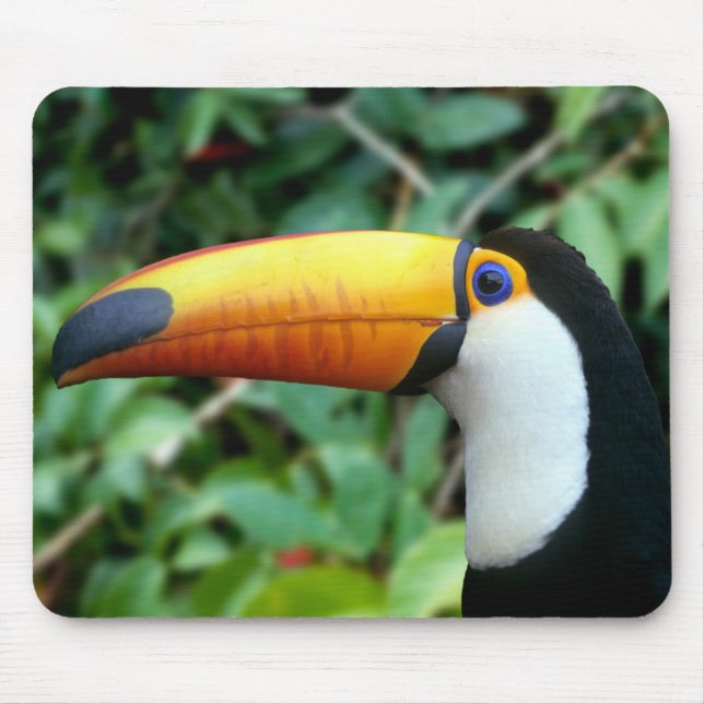 Yellow Beaked Toucan Mouse Pad (Front)