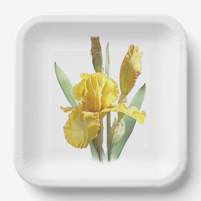 Yellow Bearded Iris Botanical Art Paper Plates (Front)