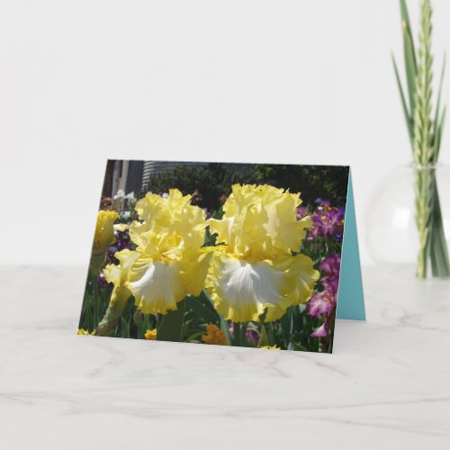 Yellow Bearded Iris floral Flowers Birthday Card