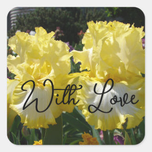 Yellow Bearded Iris Irises Flowers floral Love Square Sticker