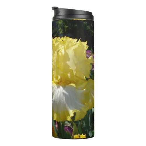 Yellow Bearded Iris Irises Flowers floral Thermal Tumbler