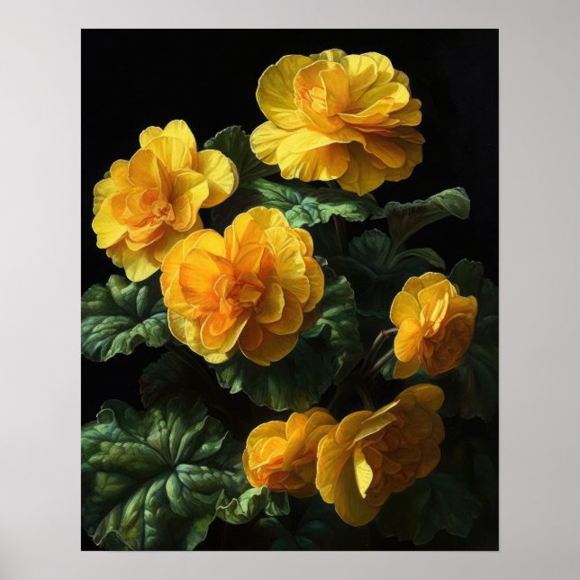 Yellow Begonia Flowers Art Print Poster (Front)