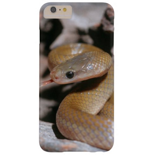 Yellow Bellied House Snake Lamprophis Fuscus Barely There iPhone 6 Plus Case