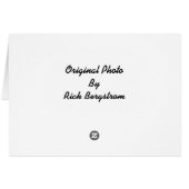 Yellow Bellied Marmot Cards (Back Horizontal)
