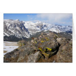 Yellow-Bellied Marmot Gazing at Rocky Mountains