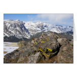 Yellow-Bellied Marmot Gazing at Rocky Mountains Cards