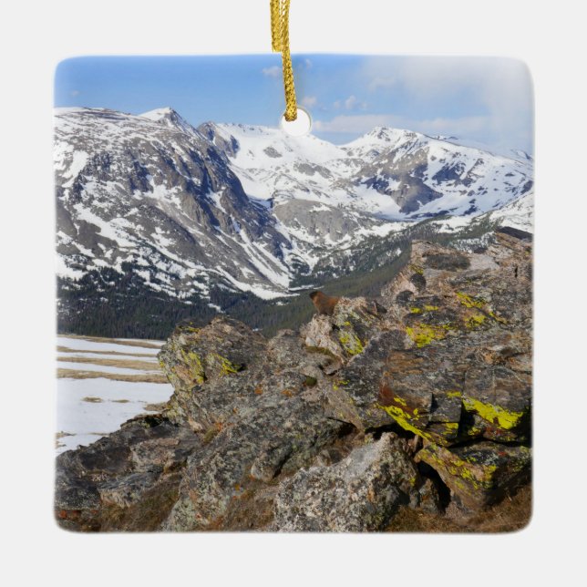 Yellow-Bellied Marmot Gazing at Rocky Mountains Ceramic Ornament (Front)