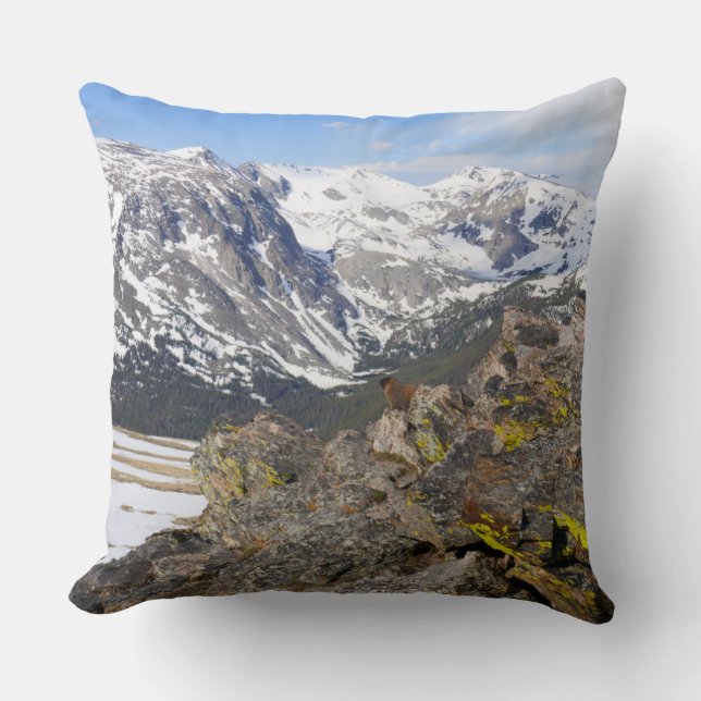 Yellow-Bellied Marmot Gazing at Rocky Mountains Throw Pillow (Front)