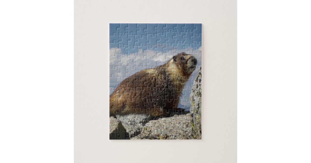 Yellow Bellied Marmot in Yosemite Jigsaw Puzzle | Zazzle.com