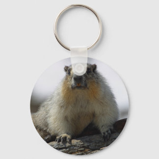 Yellow Bellied Marmot Keychain