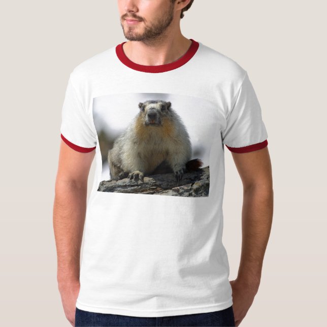 Yellow Bellied Marmot T-Shirt (Front)
