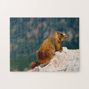 Yellow Bellied Marmot Utah. Jigsaw Puzzle