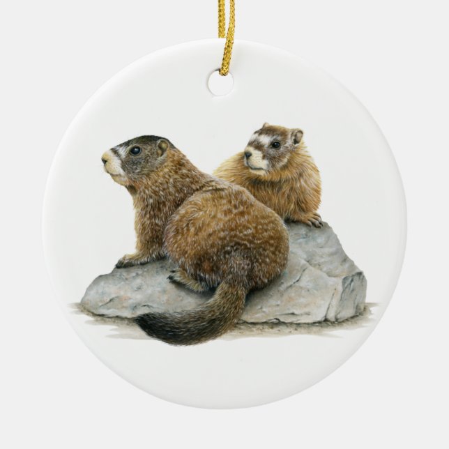 Yellow-bellied Marmots Ceramic Ornament (Front)