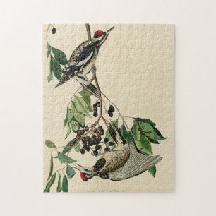 Yellow-bellied Sapsucker, Audubon Birds of America Jigsaw Puzzle