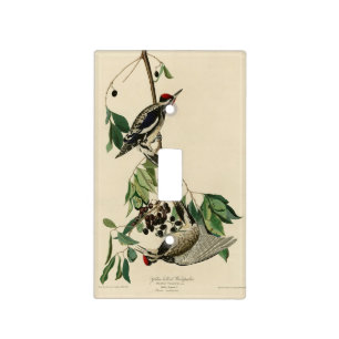 Yellow-bellied Sapsucker, Audubon Birds of America Light Switch Cover