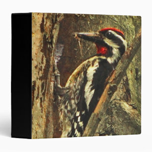 Yellow-bellied Sapsucker Binder