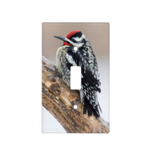 Yellow-bellied Sapsucker male Light Switch Cover
