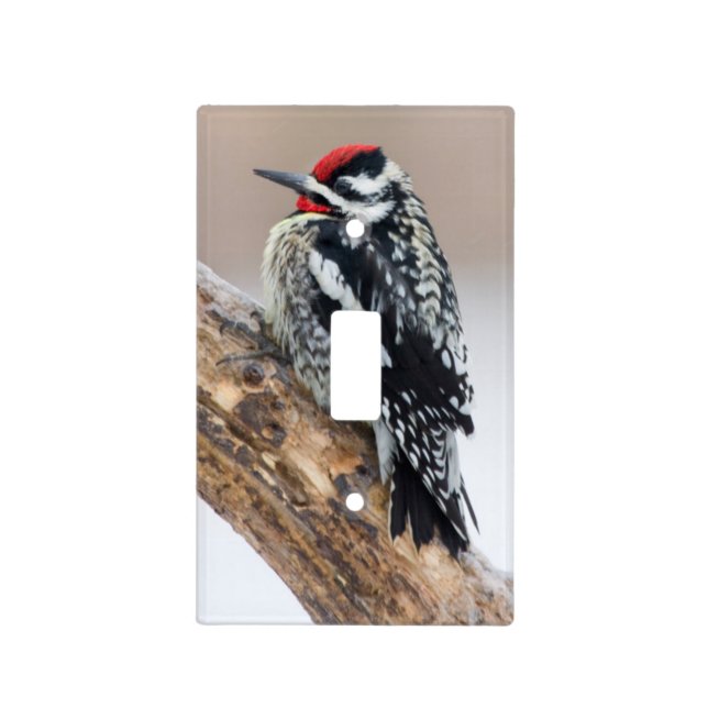 Yellow-bellied Sapsucker male Light Switch Cover (Front)