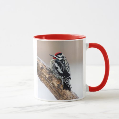 Yellow_bellied Sapsucker male Mug