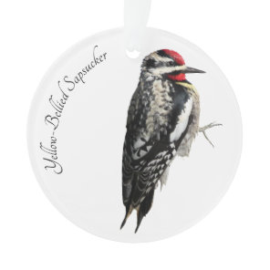 Yellow-Bellied Sapsucker Ornament