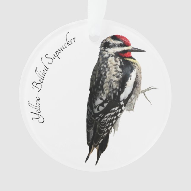 Yellow-Bellied Sapsucker Ornament (Front)