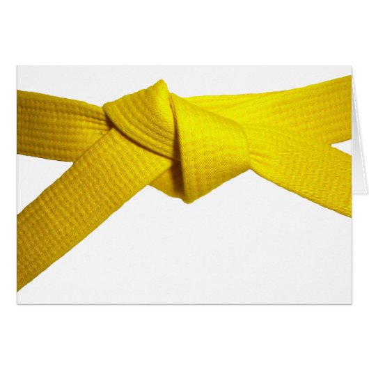 Yellow Belt (Front Horizontal)