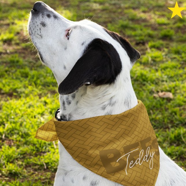 Yellow Best Friends Custom Name Pet Bandana (Creator Uploaded)
