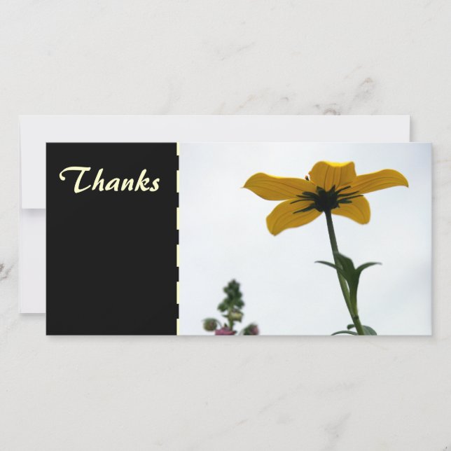 Yellow Bidens Floral Photography Thank You Photo C (Front)