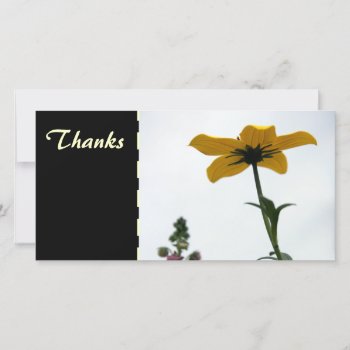 Yellow Bidens Floral Photography Thank You Photo C by PBsecretgarden at Zazzle