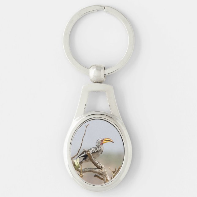 Yellow billed hornbill keychain (Front)