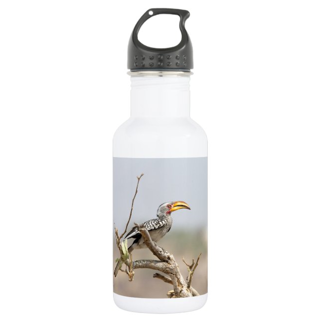 Yellow billed hornbill water bottle (Front)