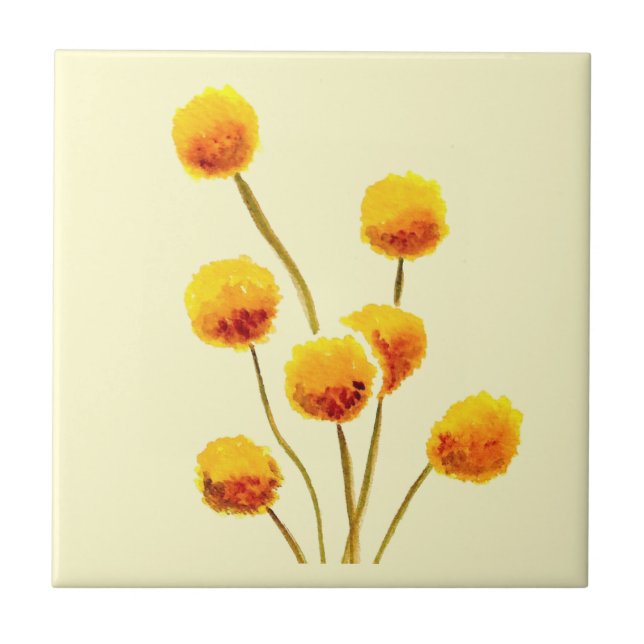 Yellow Billy Button native Australian flower Ceramic Tile (Front)